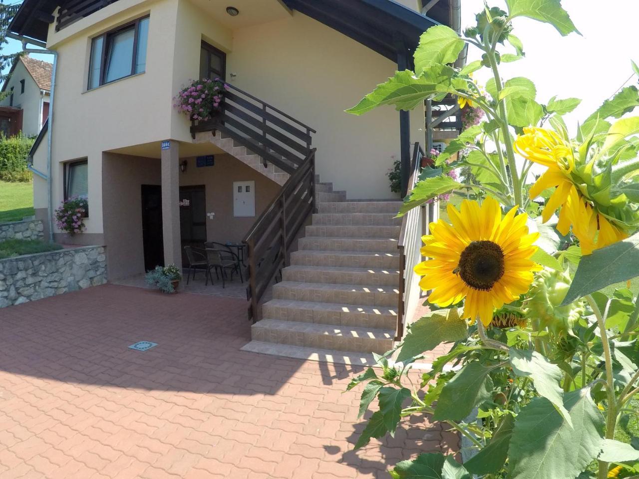 Apartment Ante Слунь Екстер'єр фото